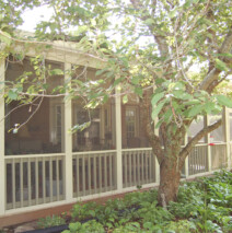 Screen Porch Alt View